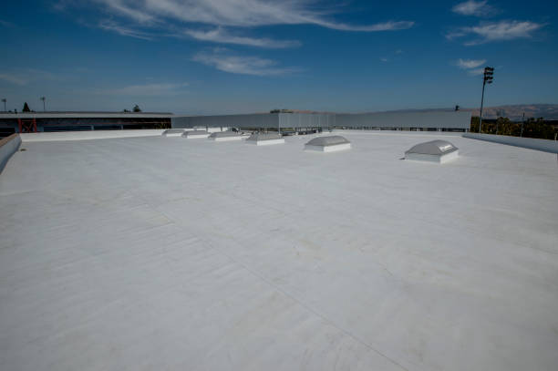 Best Metal Roofing Installation  in Tiltonsville, OH