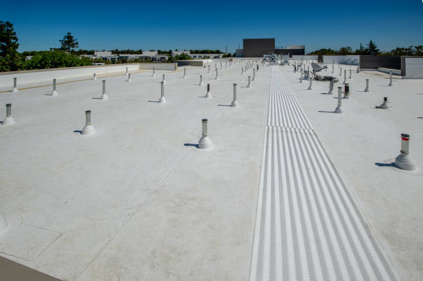 Best Skylight Installation and Repair  in Tiltonsville, OH